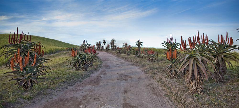 Gwahumbe Game & Spa Mid Illovo Bagian luar foto